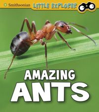 Produktbild: Peterson, M: Amazing Ants