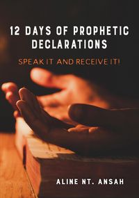 Produktbild: 12 Days of Prophetic Declarations