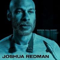 Produktbild: Words Fall Short