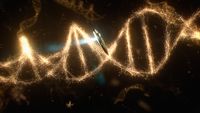 Unser Kosmos - Die Reise geht weiter  [4 DVDs]