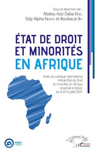 Produktbild: &Eacute;tat de droit et minorit&eacute;s en Afrique