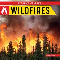 Produktbild: Wildfires