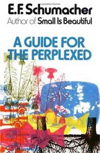 Produktbild: Gd For The Perplexed