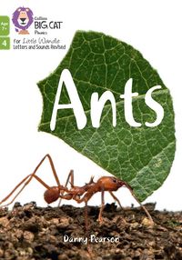 Produktbild: Ants