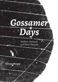 Produktbild: Gossamer Days