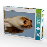 Produktbild: CALVENDO Puzzle Ein Motiv aus dem Kalender Collie 2017 | 1000 Teile Lege-Gr&ouml;&szlig;e 64x48cm Foto-Puzzle f&uuml;r gl&uuml;ckliche Stunden