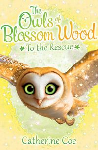 Produktbild: The Owls of Blossom Wood