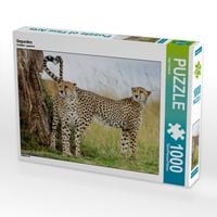Produktbild: CALVENDO Puzzle Geparden | 1000 Teile Lege-Gr&ouml;&szlig;e 64x48cm Foto-Puzzle f&uuml;r gl&uuml;ckliche Stunden