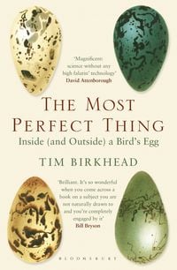 Produktbild: The Most Perfect Thing
