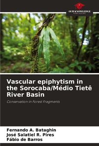 Produktbild: Vascular epiphytism in the Sorocaba/M&eacute;dio Tiet&ecirc; River Basin