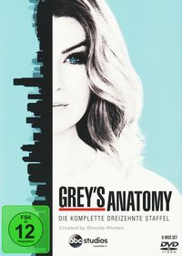 Bild vom Artikel Grey's Anatomy - Die jungen Ärzte - Staffel 13 [6 DVDs] vom Autor Kevin McKidd