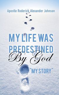 Produktbild: My Life Was Predestined By God