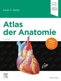 Bild vom Artikel Atlas der Anatomie vom Autor Frank H. Netter