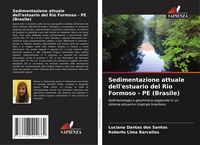 Produktbild: Sedimentazione attuale dell'estuario del Rio Formoso - PE (Brasile)