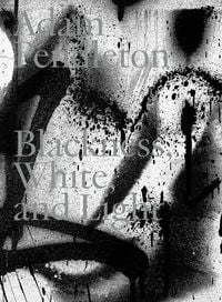 Produktbild: Adam Pendleton. Blackness, White and Light (English)