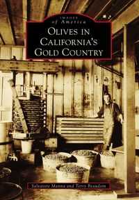 Produktbild: Olives in California's Gold Country