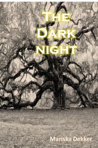 Produktbild: Dark Night