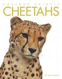 Produktbild: Cheetahs