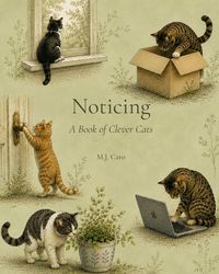 Produktbild: Noticing
