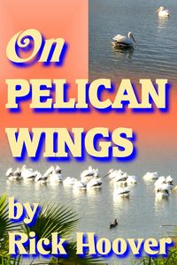 Produktbild: On Pelican Wings