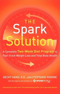 Produktbild: The Spark Solution