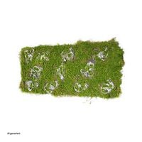 Produktbild: HTI-Living Moosmatte 100 x 30 cm Kunstpflanze Flora Moosmatte 100 x 30 cm Kunstpflanze Flora