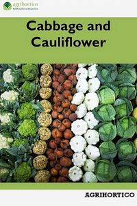 Produktbild: Cabbage and Cauliflower