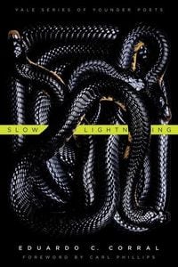 Produktbild: Slow Lightning