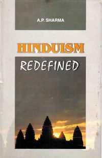 Produktbild: Hinduism Redefined
