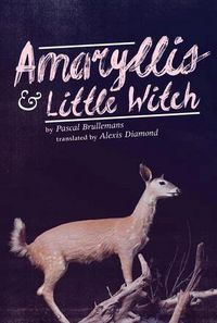Produktbild: Amaryllis & Little Witch