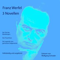 Produktbild: 3 Novellen