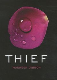 Produktbild: Thief
