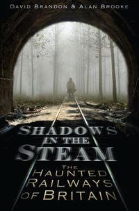 Produktbild: Shadows in the Steam