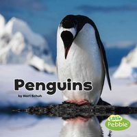 Produktbild: Penguins