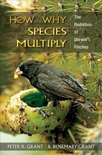 Produktbild: How and Why Species Multiply: The Radiation of Darwin's Finches