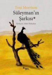 Produktbild: S&uuml;leymanin Sarkisi