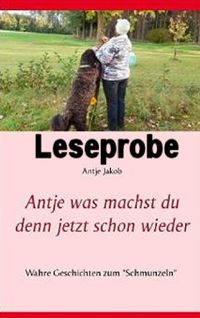 Produktbild: Antje was machst du denn jetzt schon wieder