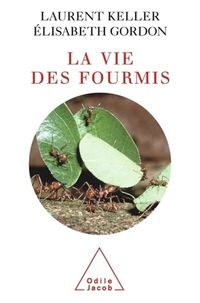 Produktbild: La vie des fourmis
