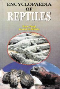 Produktbild: Encyclopaedia of Reptiles (Modern Reptiles)