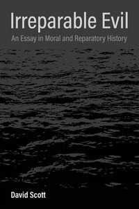 Produktbild: Irreparable Evil - An Essay in Moral and Reparatory History