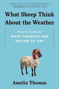 Produktbild: What Sheep Think about the Weather
