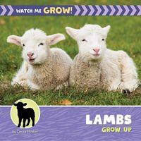 Produktbild: Lambs Grow Up