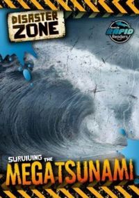 Produktbild: Surviving the Megatsunami