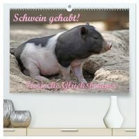 Produktbild: Schwein gehabt! (hochwertiger Premium Wandkalender 2026 DIN A2 quer), Kunstdruck in Hochglanz