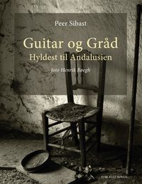 Produktbild: Guitar og Gr&aring;d