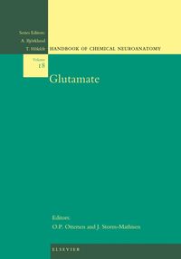 Produktbild: Glutamate