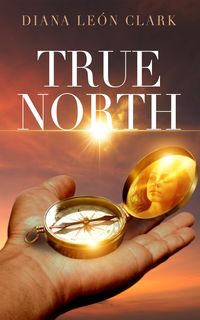 Produktbild: True North (Points of the Compass, #4)