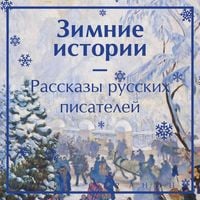 Produktbild: Zimnie istorii. Rasskazy russkih pisateley