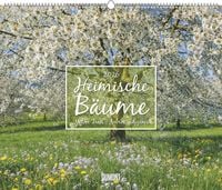 Produktbild: Heimische Bäume 2026 – Wandkalender 60x50 cm – Spiralbindung