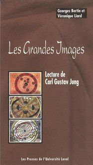 Produktbild: Lectures de Gustav Karl Jung